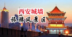 ◇操逼中国陕西-西安城墙旅游风景区